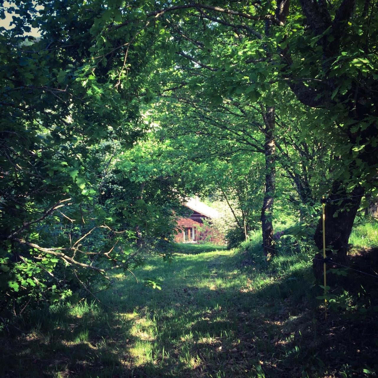 Silver Trees - Glamping Fresse-sur-Moselle Exteriér fotografie